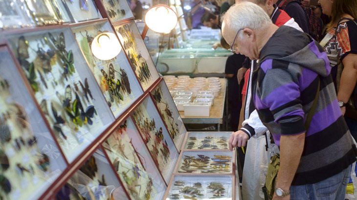 Expoterraria La Farga