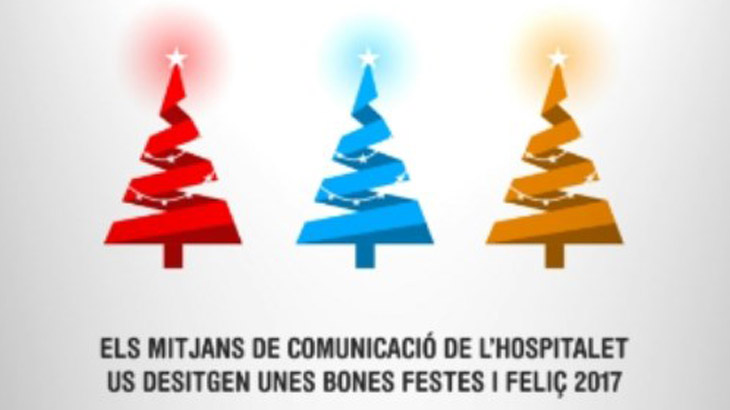 Mitjans Farga Professionals