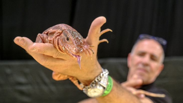 Millors imatges Expoterraria